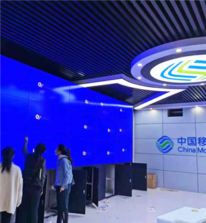 廣西來賓青年科技服務(wù)中心（中國(guó)移動(dòng)）55寸3.5MM3X5+機(jī)柜